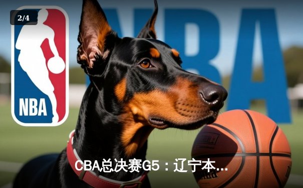 CBA总决赛G5：辽宁本钢加时逆转广东宏远，赵继伟37分加冕FMVP - 2